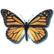 Beveled Monarch butterfly Danaus plexippus