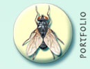 Portfolio Japanese beetle larva illustration button